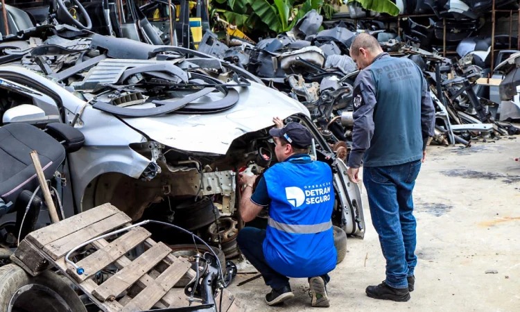 Agentes do governo verificam área dentro do ferro-velho